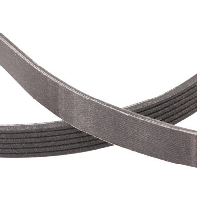 Pasek Klinowy Wielorowkowy RIDEX 305P0298P 305P0298P - foto 5