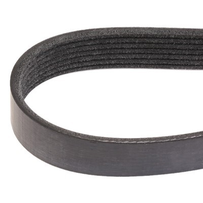 Pasek Klinowy Wielorowkowy RIDEX 305P0383 305P0383 - foto 3
