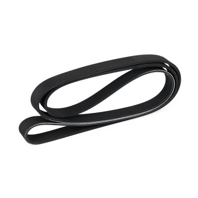 Pasek Klinowy Wielorowkowy RIDEX 305P0250 305P0250 - foto 4