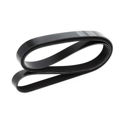 Pasek Klinowy Wielorowkowy RIDEX 305P0200 305P0200 - foto 4