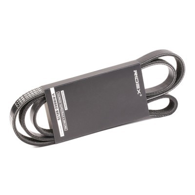 Pasek Klinowy Wielorowkowy RIDEX 305P0387 305P0387 - foto 2