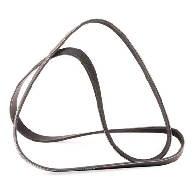 Pasek Klinowy Wielorowkowy RIDEX 305P0416P 305P0416P - foto 3