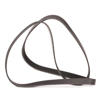 Pasek Klinowy Wielorowkowy RIDEX 305P0508P 305P0508P - foto 3
