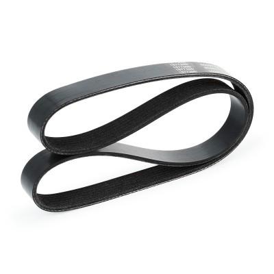 Pasek Klinowy Wielorowkowy RIDEX 305P0139 305P0139 - foto 4