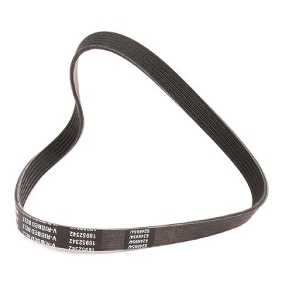 Pasek Klinowy Wielorowkowy RIDEX 305P0165P 305P0165P - foto 3