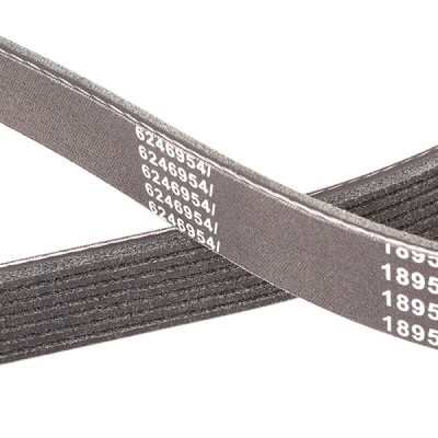 Pasek Klinowy Wielorowkowy RIDEX 305P0416P 305P0416P - foto 5