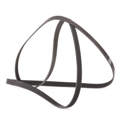 Pasek Klinowy Wielorowkowy RIDEX 305P0102P 305P0102P - foto 3