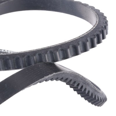 Pasek Klinowy RIDEX 10C0014P 10C0014P - foto 5