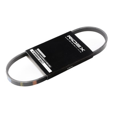Pasek Klinowy Wielorowkowy RIDEX 305P0167 305P0167 - foto 3