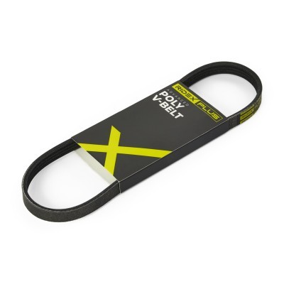 Pasek Klinowy Wielorowkowy RIDEX 305P0006P 305P0006P - foto 2