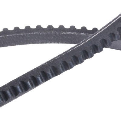 Pasek Klinowy RIDEX 10C0105P 10C0105P - foto 5