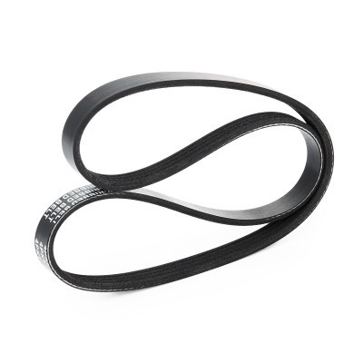 Pasek Klinowy Wielorowkowy RIDEX 305P0143 305P0143 - foto 4