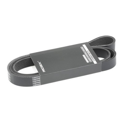 Pasek Klinowy Wielorowkowy RIDEX 305P0492 305P0492 - foto 2