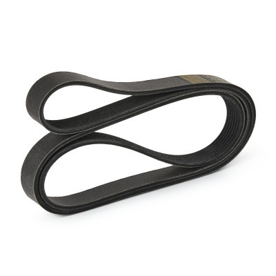 Pasek Klinowy Wielorowkowy RIDEX 305P0219P 305P0219P - foto 4