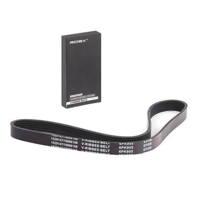 Pasek Klinowy Wielorowkowy RIDEX 305P0549 305P0549 - foto 2