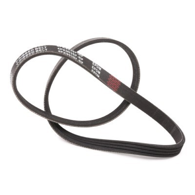Pasek Klinowy Wielorowkowy RIDEX 305P0309P 305P0309P - foto 4