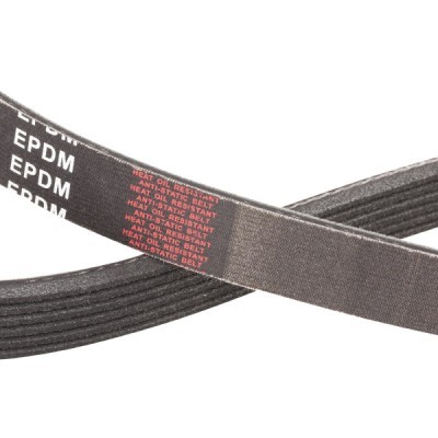 Pasek Klinowy Wielorowkowy RIDEX 305P0095P 305P0095P - foto 5