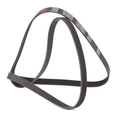 Pasek Klinowy Wielorowkowy RIDEX 305P0333P 305P0333P - foto 3