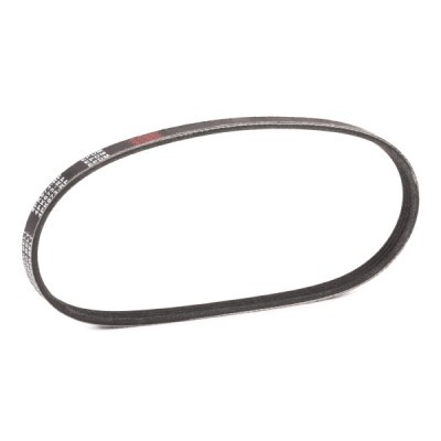 Pasek Klinowy Wielorowkowy RIDEX 305P0167P 305P0167P - foto 3