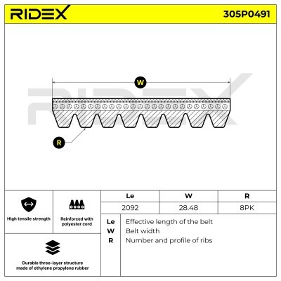 Pasek Klinowy Wielorowkowy RIDEX 305P0491 305P0491 - foto 5