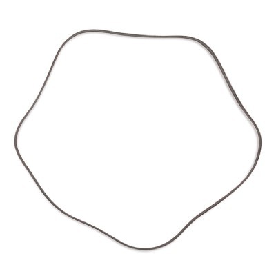 Pasek Klinowy Wielorowkowy RIDEX 305P0416P 305P0416P - foto 4