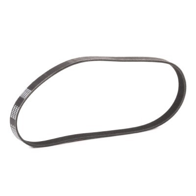 Pasek Klinowy Wielorowkowy RIDEX 305P0134P 305P0134P - foto 3