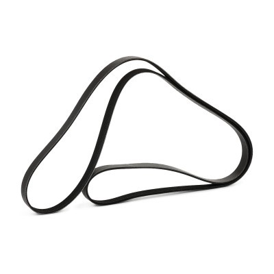 Pasek Klinowy Wielorowkowy RIDEX 305P0145P 305P0145P - foto 4