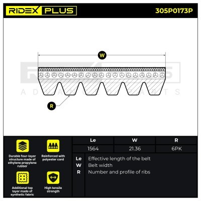 Pasek Klinowy Wielorowkowy RIDEX 305P0173P 305P0173P - foto 3