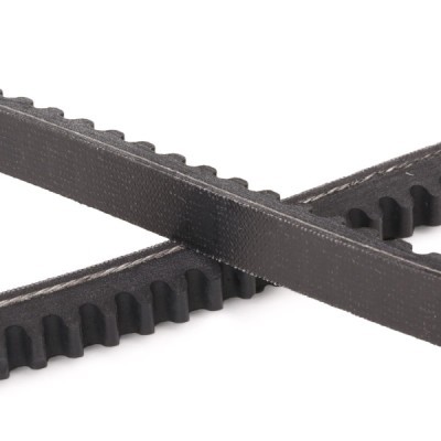 Pasek Klinowy RIDEX 10C0029P 10C0029P - foto 5