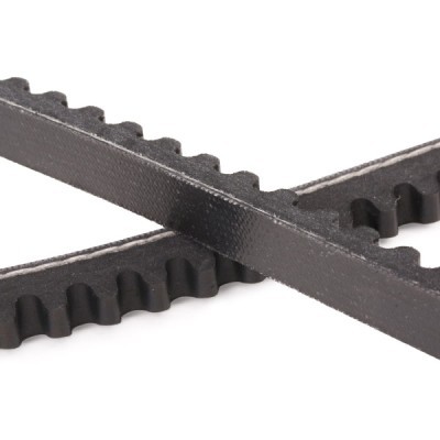 Pasek Klinowy RIDEX 10C0060P 10C0060P - foto 5