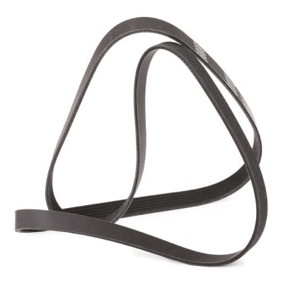 Pasek Klinowy Wielorowkowy RIDEX 305P0147P 305P0147P - foto 3