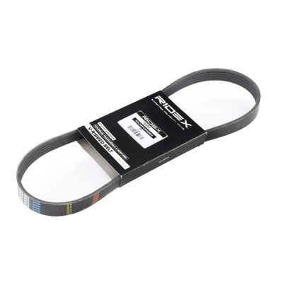 Pasek Klinowy Wielorowkowy RIDEX 305P0207 305P0207 - foto 2