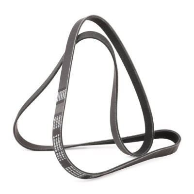 Pasek Klinowy Wielorowkowy RIDEX 305P0327P 305P0327P - foto 3