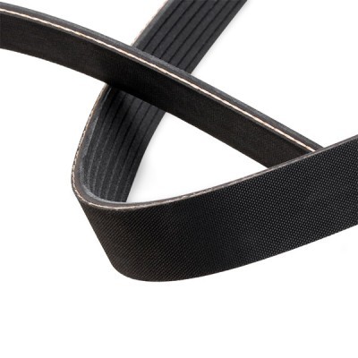 Pasek Klinowy Wielorowkowy RIDEX 305P0378 305P0378 - foto 4