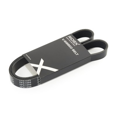 Pasek Klinowy Wielorowkowy RIDEX 305P0569 305P0569 - foto 2