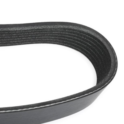 Pasek Klinowy Wielorowkowy RIDEX 305P0492 305P0492 - foto 4