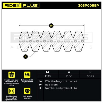 Pasek Klinowy Wielorowkowy RIDEX 305P0088P 305P0088P - foto 3