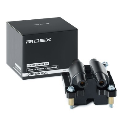 Cewka Zapłonowa RIDEX 689C0399 689C0399 - foto 2