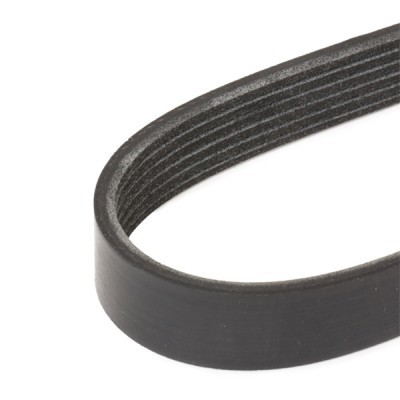 Pasek Klinowy Wielorowkowy RIDEX 305P0350 305P0350 - foto 3