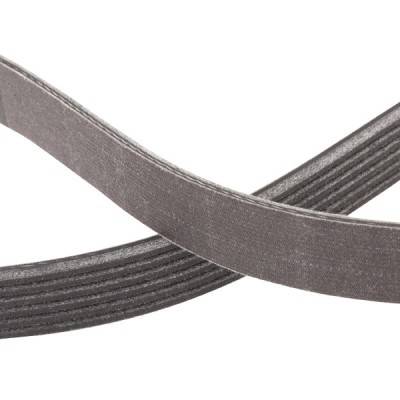 Pasek Klinowy Wielorowkowy RIDEX 305P0333P 305P0333P - foto 5