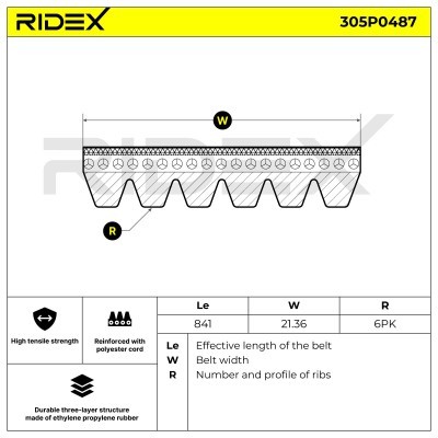 Pasek Klinowy Wielorowkowy RIDEX 305P0487 305P0487 - foto 5