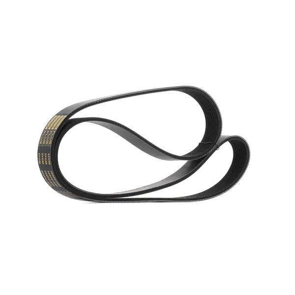 Pasek Klinowy Wielorowkowy RIDEX 305P0155P 305P0155P - foto 1