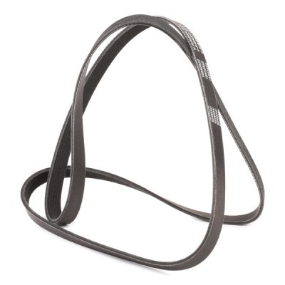 Pasek Klinowy Wielorowkowy RIDEX 305P0146P 305P0146P - foto 3