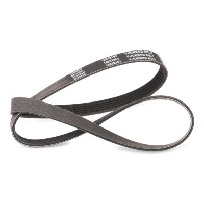 Pasek Klinowy Wielorowkowy RIDEX 305P0062P 305P0062P - foto 3