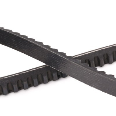 Pasek Klinowy RIDEX 10C0018P 10C0018P - foto 5