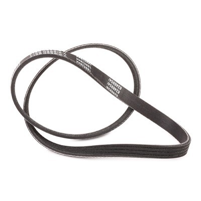 Pasek Klinowy Wielorowkowy RIDEX 305P0434P 305P0434P - foto 3
