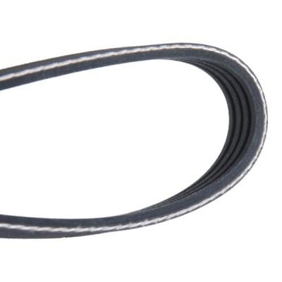 Pasek Klinowy Wielorowkowy RIDEX 305P0202 305P0202 - foto 4