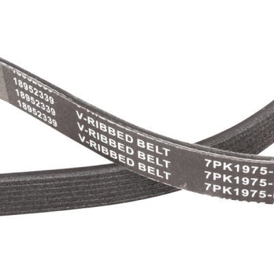Pasek Klinowy Wielorowkowy RIDEX 305P0327P 305P0327P - foto 5