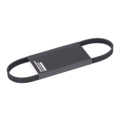 Pasek Klinowy Wielorowkowy RIDEX 305P0429 305P0429 - foto 2