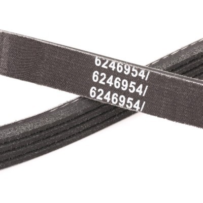Pasek Klinowy Wielorowkowy RIDEX 305P0167P 305P0167P - foto 5